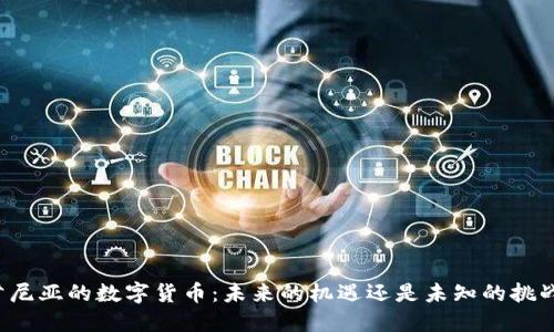 肯尼亚的数字货币：未来的机遇还是未知的挑战？