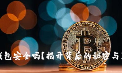 TP钱包安全吗？揭开背后的秘密与真相
