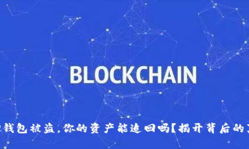 当TP钱包被盗，你的资产能追回吗？揭开背后的真相！