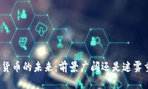 数字货币的未来：前景广阔还是迷雾重重？