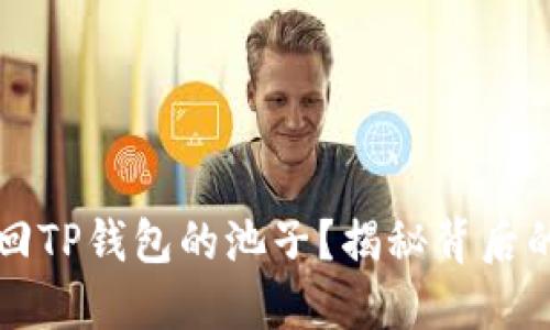  如何安全撤回TP钱包的池子？揭秘背后的风险与技巧！