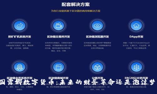 韩国露娜数字货币：未来的财务革命还是泡沫梦魇？
