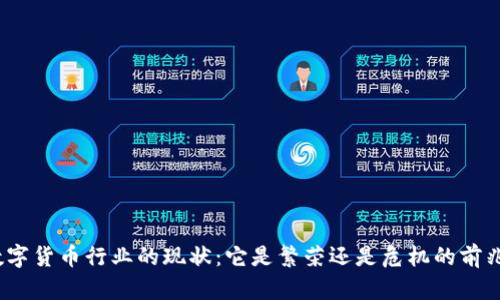 数字货币行业的现状：它是繁荣还是危机的前兆？