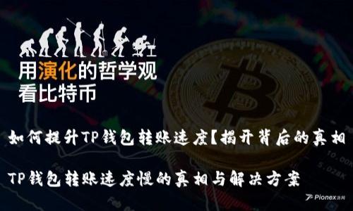 如何提升TP钱包转账速度？揭开背后的真相

TP钱包转账速度慢的真相与解决方案