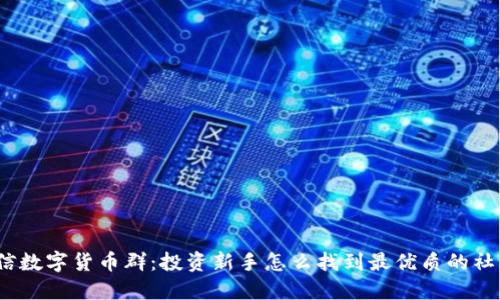 微信数字货币群：投资新手怎么找到最优质的社群？