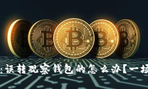 解锁TP钱包：误转观察钱包的怎么办？一场意外的旅程