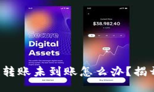TP钱包跨链转账未到账怎么办？揭开神秘面纱！