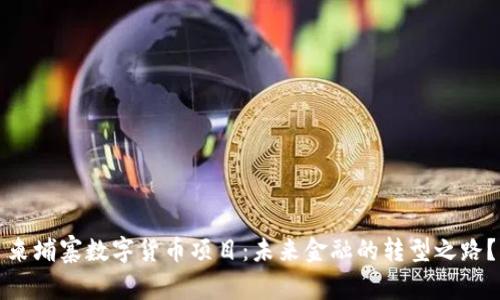 柬埔寨数字货币项目：未来金融的转型之路？
