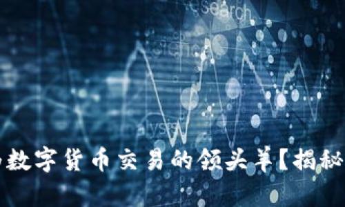为什么中国会成为数字货币交易的领头羊？揭秘背后的原因与挑战