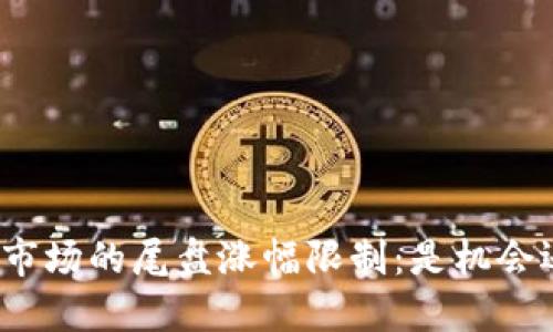 数字货币市场的尾盘涨幅限制：是机会还是陷阱？