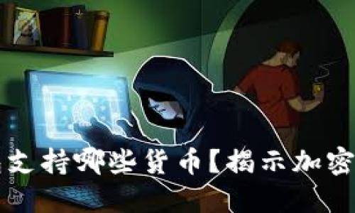 以太坊钱包支持哪些货币？揭示加密世界的秘密