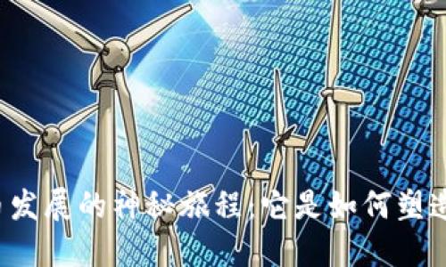 美国数字货币发展的神秘旅程：它是如何塑造未来金融的？