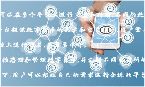 数字货币并不属于某一家特定的平台，它是基于区块链技术的去中心化资产，可以在多个平台上进行交易和持有。不同的数字货币（如比特币、以太坊等）可以在各种交易所上进行交易，这些交易所包括：

1. **中心化交易所**：像币安（Binance）、火币网（Huobi）、Coinbase等，这些平台提供数字货币的买卖和交易服务，用户需要在这些平台上注册账户。

2. **去中心化交易所**：如UniSwap、PancakeSwap等，用户可以直接在区块链上进行交易，不需要中介。

3. **钱包平台**：一些数字货币钱包（如MetaMask、Trust Wallet）也可以直接存储和管理数字货币，并支持不同交易所的交易。

总之，数字货币是开放的，不属于任何单一平台，而是多个交易所和钱包的支撑下，用户可以根据自己的需求选择合适的平台进行交易和管理。