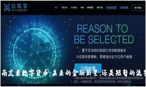 海南友米数字货币：未来的金融新星，还是短暂的流星？
