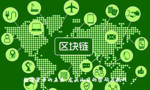 数字货币的未来：龙头山顶的密码与挑战