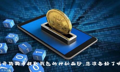 揭开狗狗币提取钱包的神秘面纱，您准备好了吗？