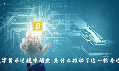 数字货币逆境中爆发：是什么推动了这一轮奇迹？