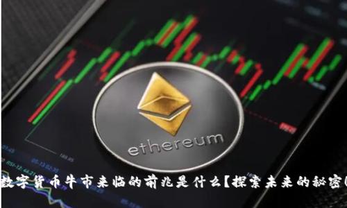 数字货币牛市来临的前兆是什么？探索未来的秘密！