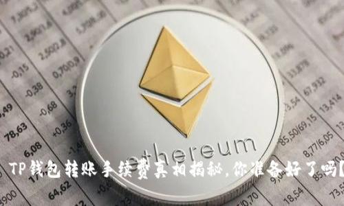  TP钱包转账手续费真相揭秘，你准备好了吗？