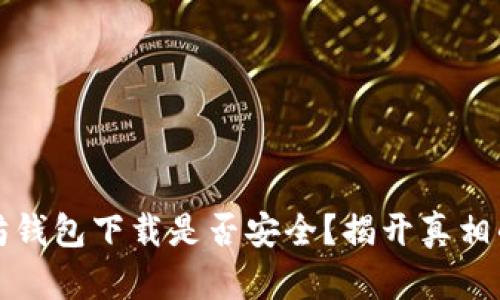 以太坊钱包下载是否安全？揭开真相的面纱