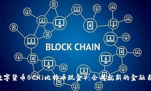 未来数字货币BCH（比特币现金）：会成就新的金融自由吗？