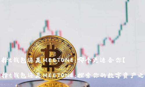 选择t钱包还是MEETONE：哪个更适合你？

选择t钱包还是MEETONE：探索你的数字资产之路