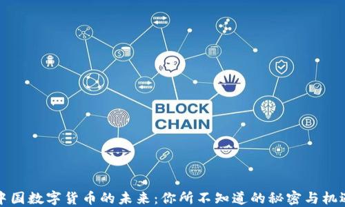 
中国数字货币的未来：你所不知道的秘密与机遇
