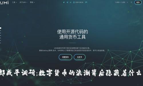 郎咸平调研：数字货币的浪潮背后隐藏着什么？