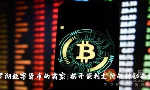 罗湖数字货币的商家：揭开便利支付的神秘面纱