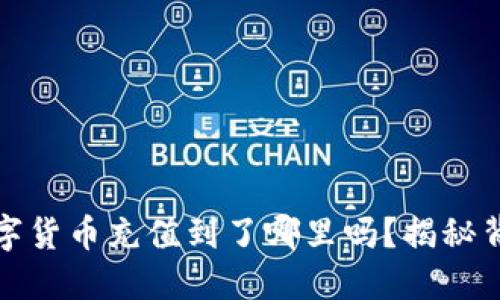 你知道你的数字货币充值到了哪里吗？揭秘背后的神秘世界