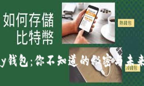 探秘0kpay钱包：你不知道的秘密与未来发展方向