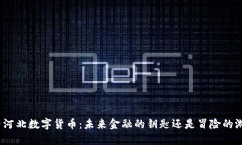 探索河北数字货币：未来金融的钥匙还是冒险的游戏？