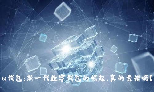 u钱包：新一代数字钱包的崛起，真的靠谱吗？