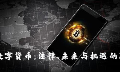 新西兰数字货币：法律、未来与机遇的隐秘角落