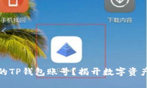 如何轻松查询你的TP钱包账号？揭开数字资产管理的神秘面纱