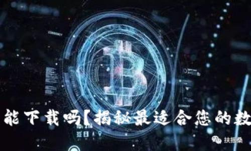 以太坊钱包手机能下载吗？揭秘最适合您的数字资产管理方案