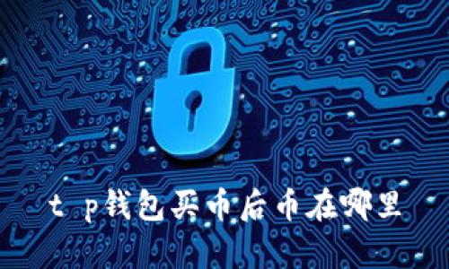 t p钱包买币后币在哪里