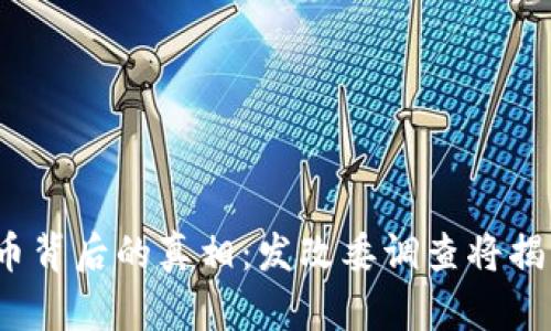 数字货币背后的真相:发改委调查将揭示什么?