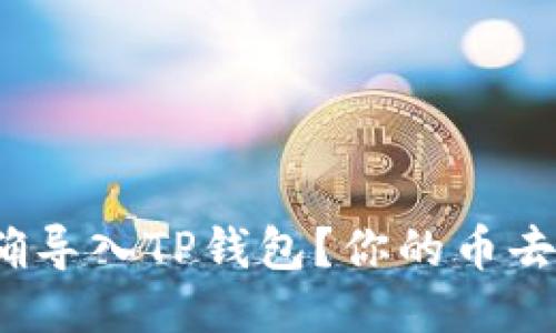 如何正确导入TP钱包？你的币去哪儿了？