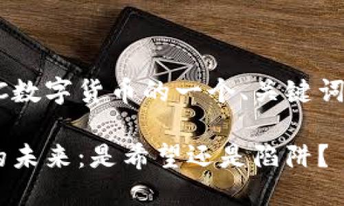 以下是关于SEC数字货币的一个、关键词以及内容大纲。

SEC数字货币的未来：是希望还是陷阱？