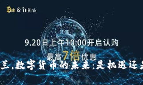 在乌克兰，数字货币的未来：是机遇还是挑战？