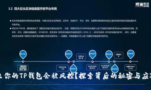 为什么你的TP钱包会被风控？探索背后的秘密与应对策略