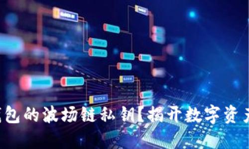 如何安全管理TP钱包的波场链私钥？揭开数字资产安全的神秘面纱！