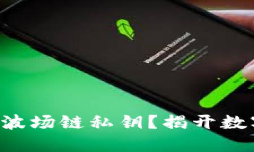 如何安全管理TP钱包的波场链私钥？揭开数字资产安全的神秘面纱！