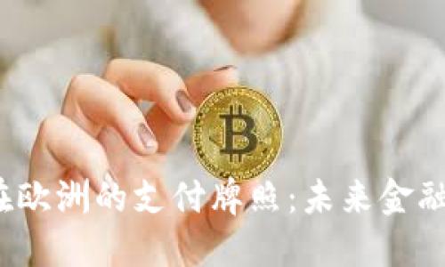 揭秘数字货币在欧洲的支付牌照：未来金融的关键是什么？