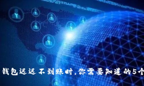 当你的TP钱包迟迟不到账时，你需要知道的5个重要因素