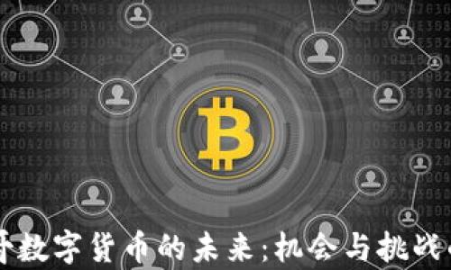 
摩洛哥数字货币的未来：机会与挑战的拐点