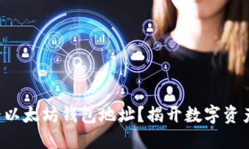 如何轻松查看以太坊钱包地址？揭开数字资产的神秘面纱！