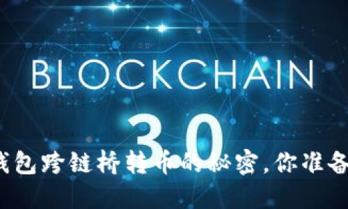 揭秘TP钱包跨链桥转币的秘密，你准备好了吗？