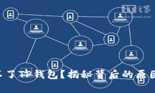 新手机连接不了TP钱包？揭秘背后的原因与解决方案！